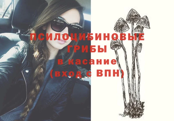мяу мяу мука Алзамай