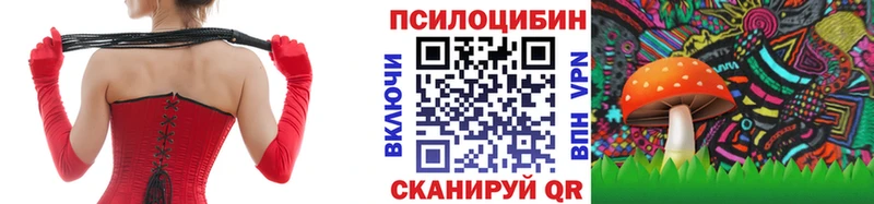 Псилоцибиновые грибы Psilocybine cubensis  Серов 